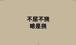 不屈不挠,逆境中的坚韧与奋斗