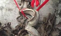 神龙下山,传奇归来，风云再起