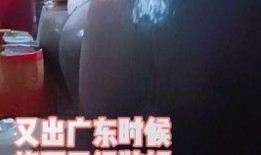 预感讯号,预见未来的神秘信号