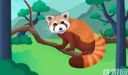 森林里的熊先生冬眠中,静谧的冬日守护者