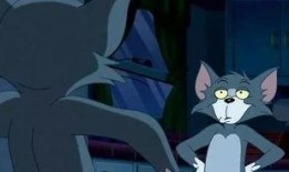 猫和老鼠传奇 第一季,第一季：追逐与智慧的双重较量