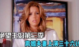 绝望主妇 第三季