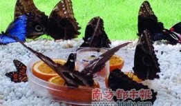 破茧成她,女性成长与蜕变之路