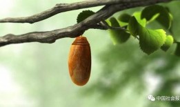 破茧成她,女性成长与蜕变之路