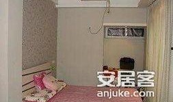 Oh！三光公寓！,探寻都市中的神秘居住地