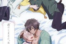 森林里的熊先生冬眠中,静谧的冬日守护者