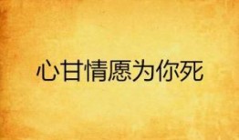 心甘情愿,探寻无私奉献的力量