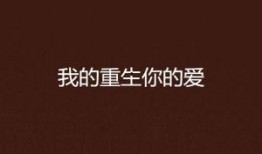 重生后，我们的爱到此为止,缘尽此生