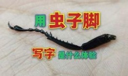 预感讯号,预见未来的神秘信号