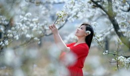 爱不是逆来顺受（她跪碎月光求我回头）,拒绝逆来顺受的束缚